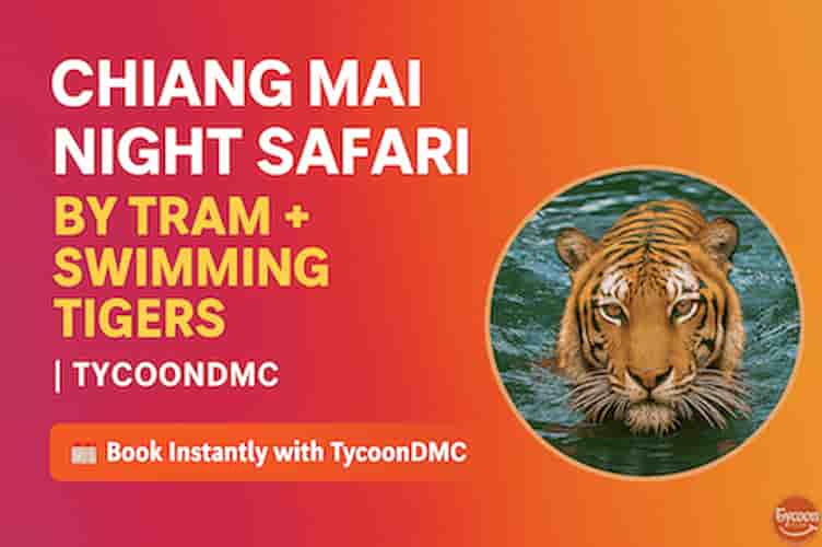 Chiang Mai Night Safari by Tram + Swimming Tigers