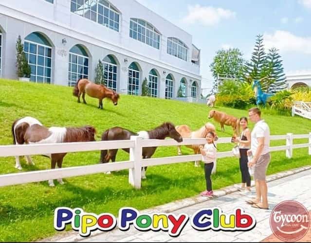 Pipo Pony Club Pattaya