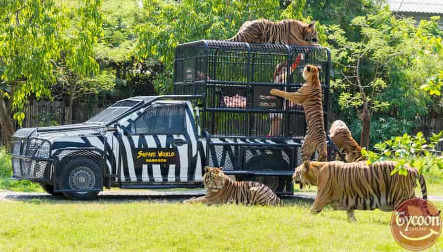 Safari World Bangkok + Marine Park Bangkok + Buffet Lunch