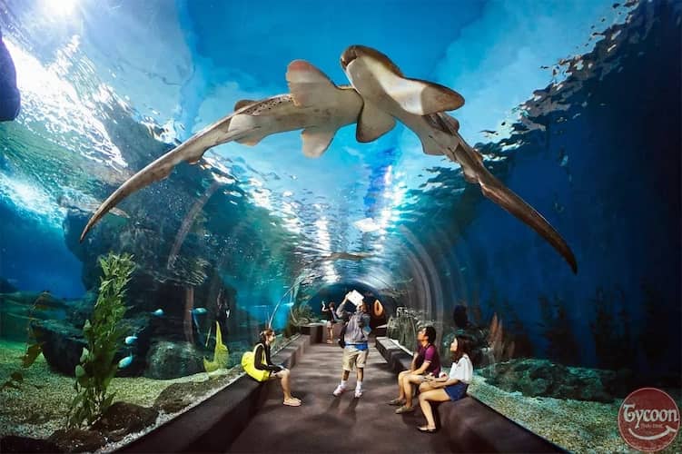 Underwater World Pattaya